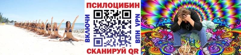 МЕГА как войти  Сочи  Псилоцибиновые грибы Psilocybe 